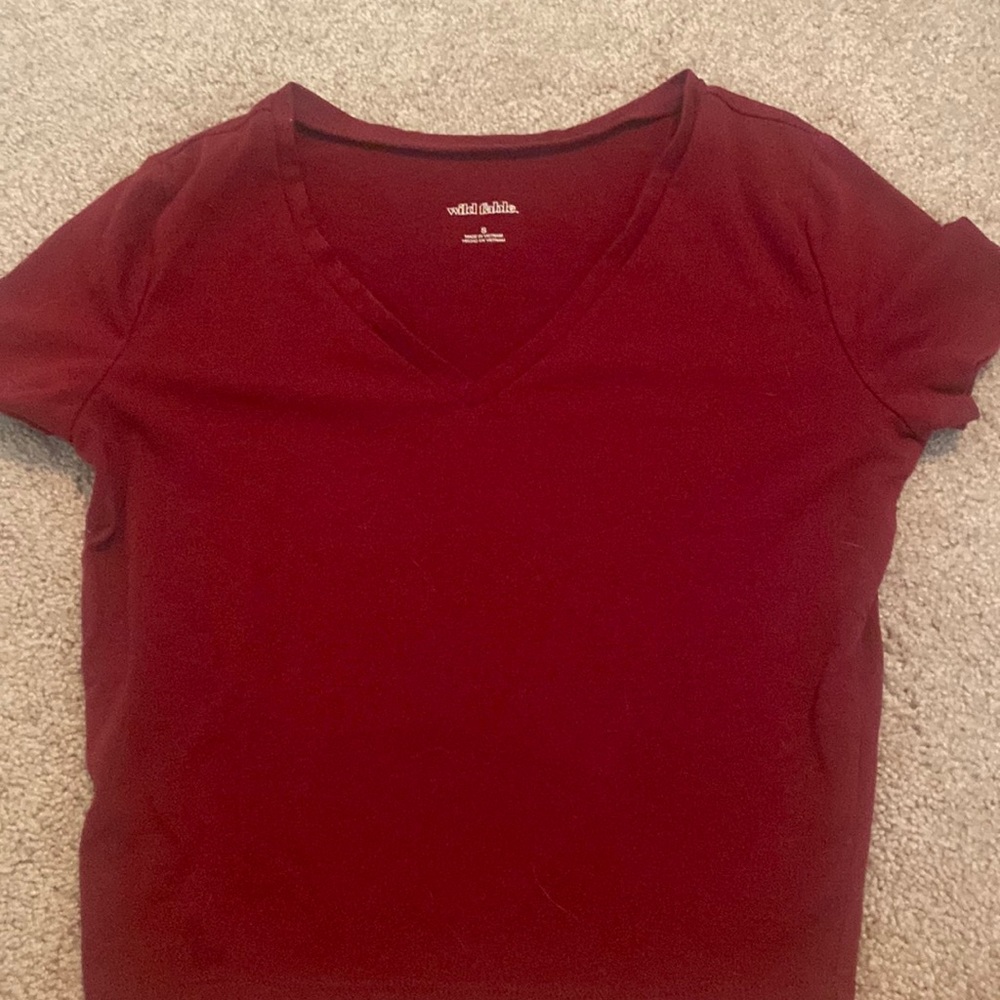 Wild Fable Cropped V-Neck Top